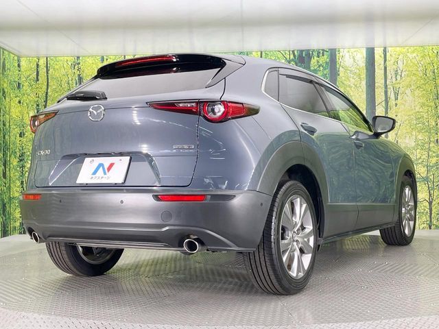 CX-30