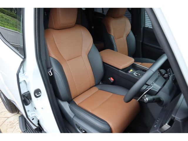 LEXUS GX550