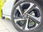 RAIZE HYBRID
