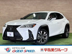 LEXUS UX250h