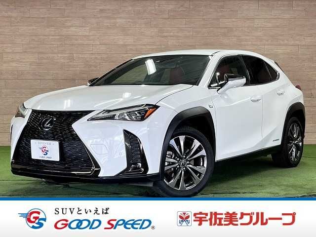 LEXUS UX250h