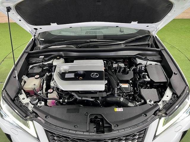 LEXUS UX250h