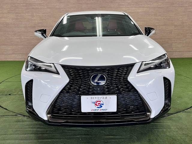 LEXUS UX250h