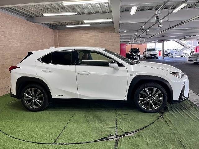 LEXUS UX250h