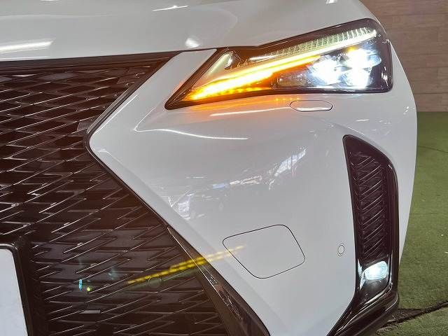 LEXUS UX250h