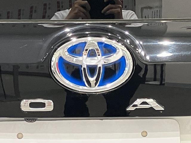NOAH HYBRID