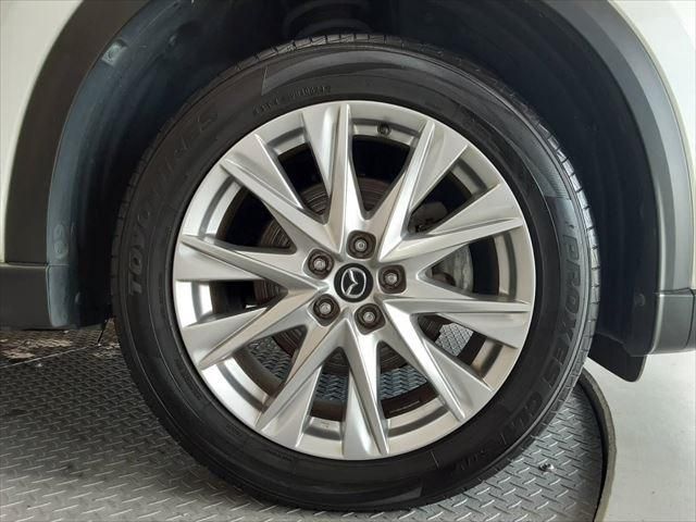 CX-8