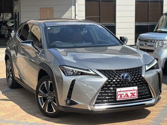 LEXUS UX250h