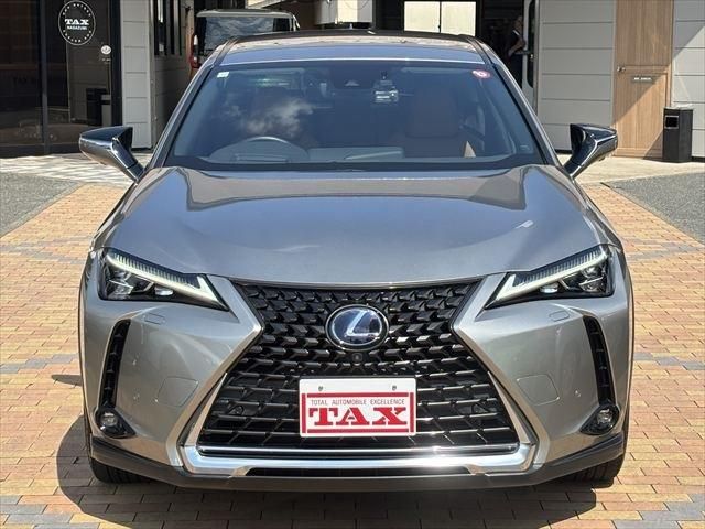 LEXUS UX250h