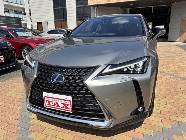 LEXUS UX250h