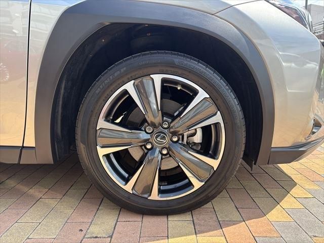 LEXUS UX250h