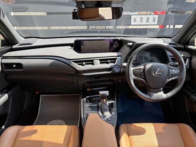 LEXUS UX250h