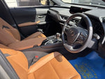 LEXUS UX250h
