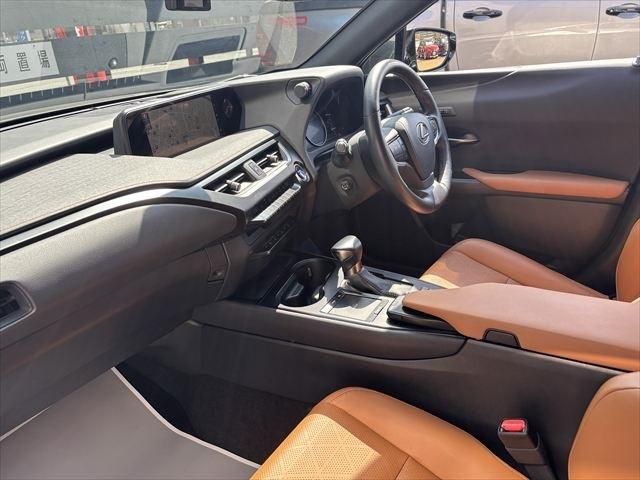 LEXUS UX250h
