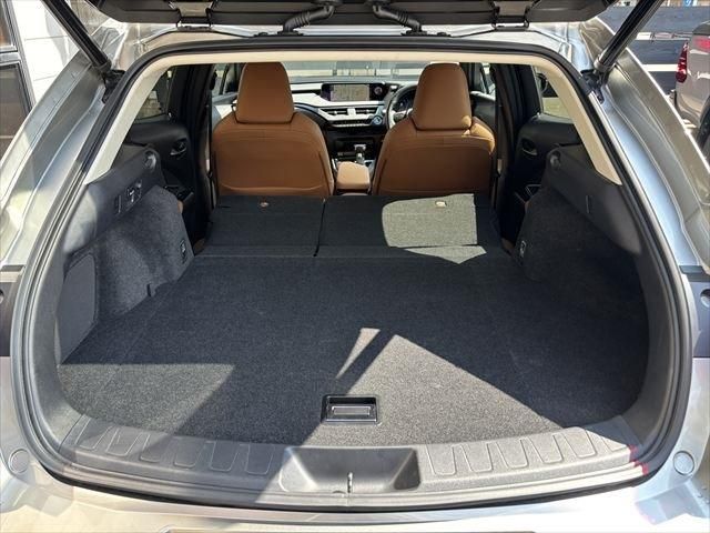 LEXUS UX250h
