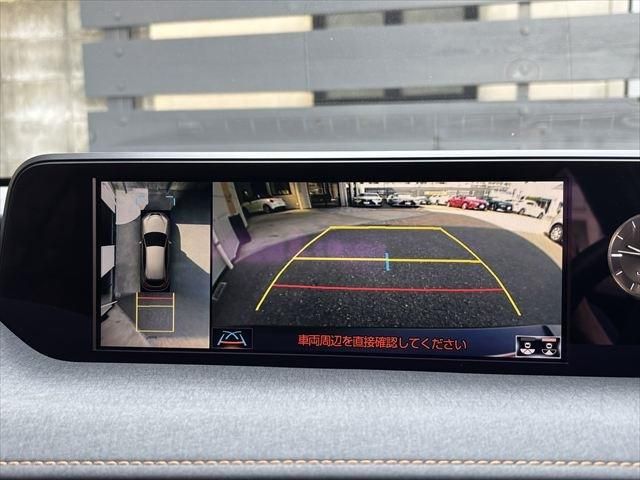 LEXUS UX250h