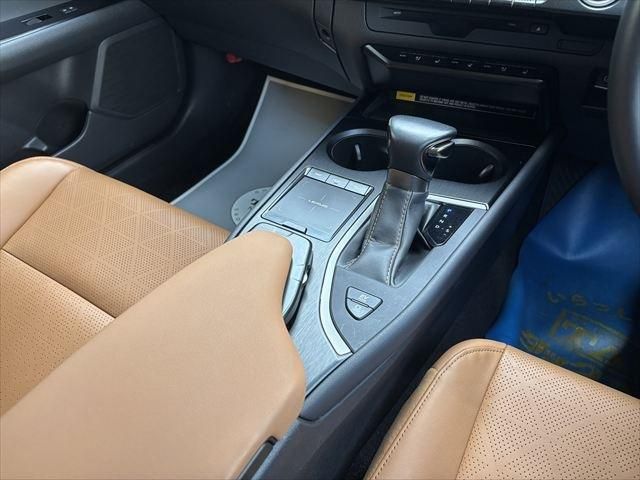 LEXUS UX250h