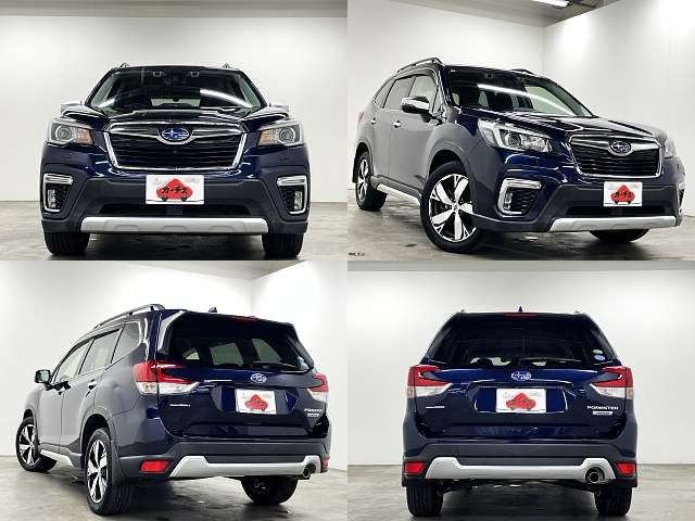 FORESTER