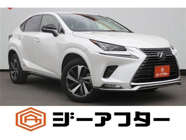 LEXUS NX300h