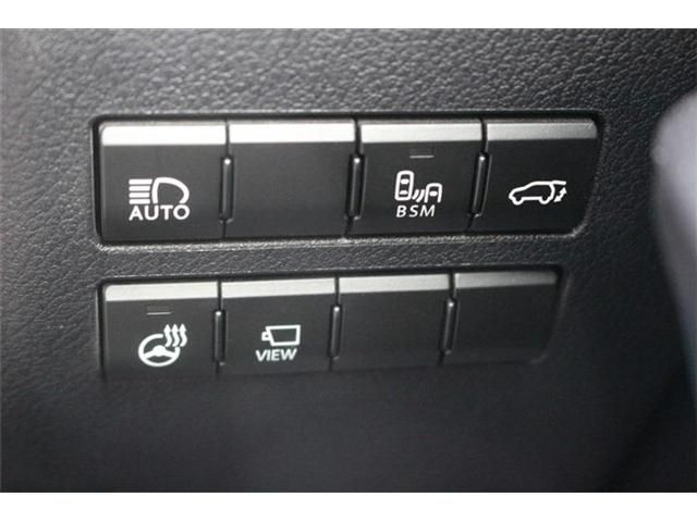 LEXUS NX300h