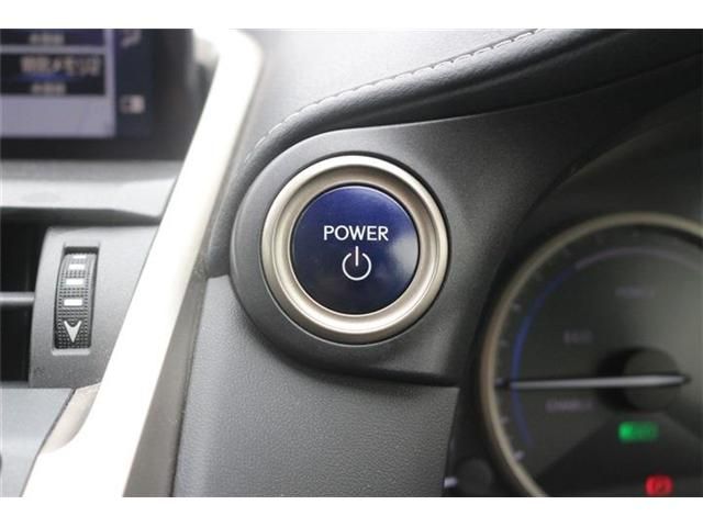 LEXUS NX300h