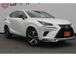 LEXUS NX300h