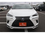 LEXUS NX300h