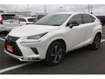 LEXUS NX300h