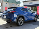 LEXUS UX250h AWD