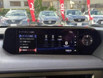 LEXUS UX250h AWD