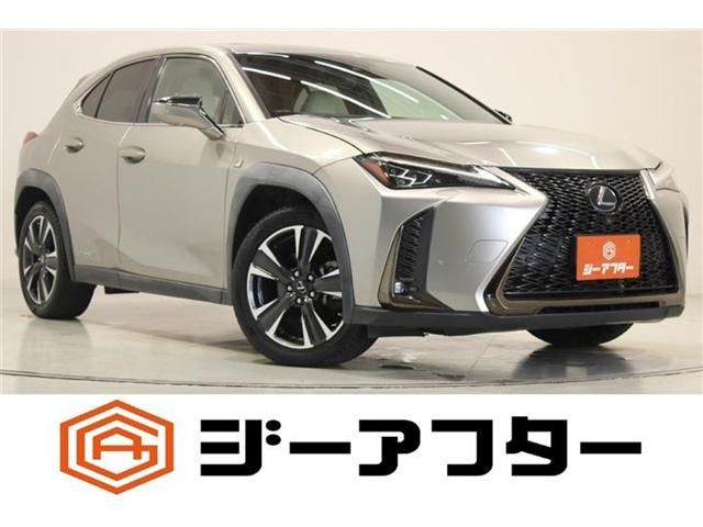 LEXUS UX250h