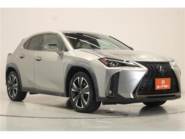 LEXUS UX250h