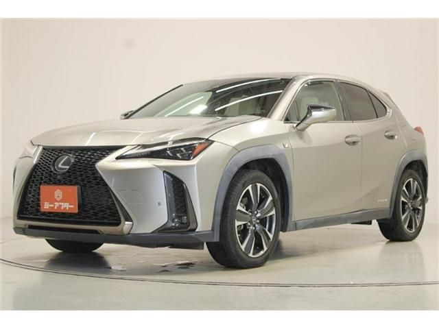 LEXUS UX250h