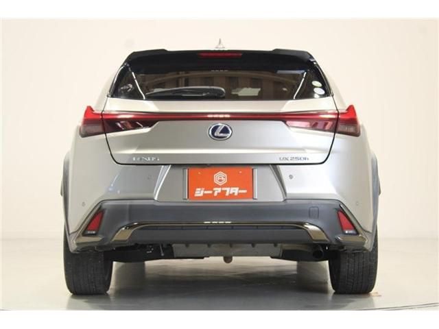 LEXUS UX250h