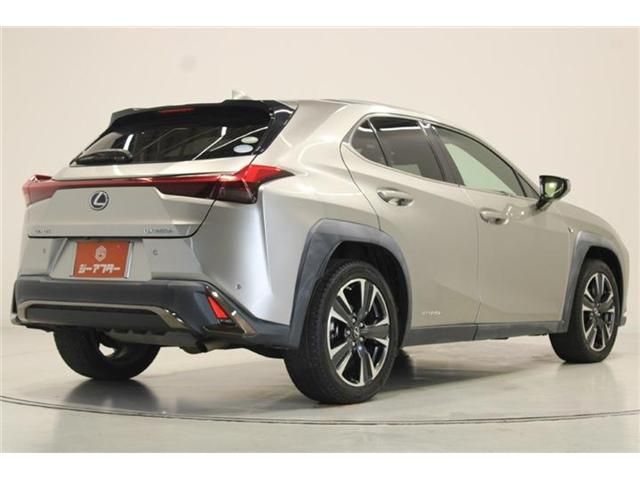 LEXUS UX250h