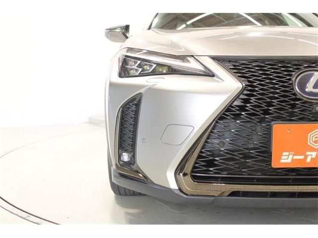 LEXUS UX250h