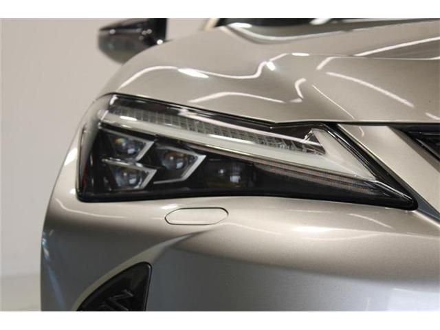 LEXUS UX250h