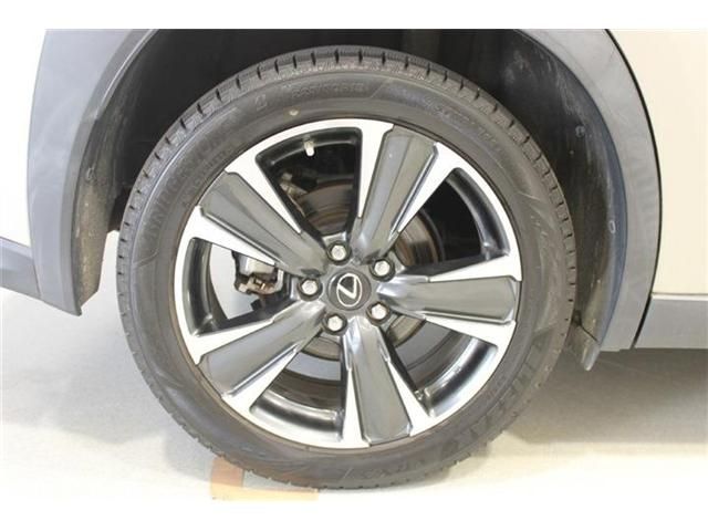 LEXUS UX250h