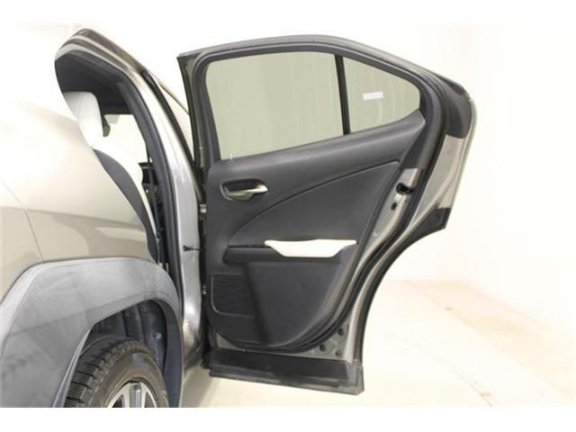 LEXUS UX250h