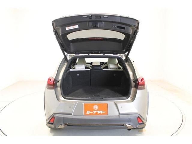 LEXUS UX250h