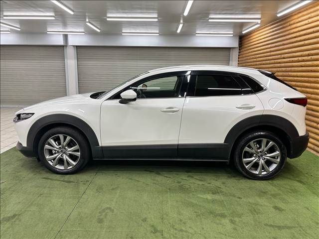 CX-30