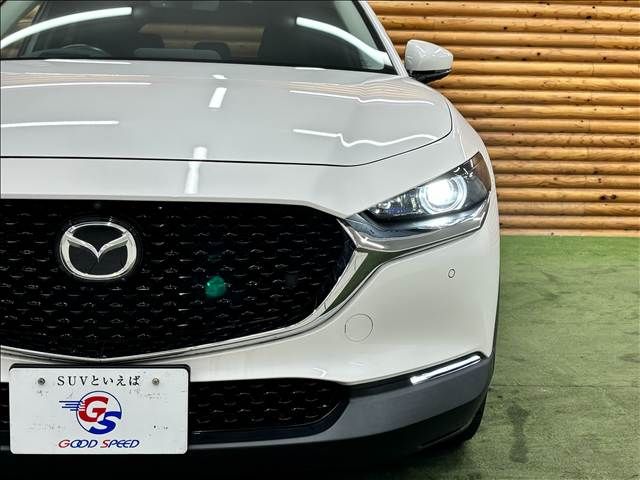 CX-30