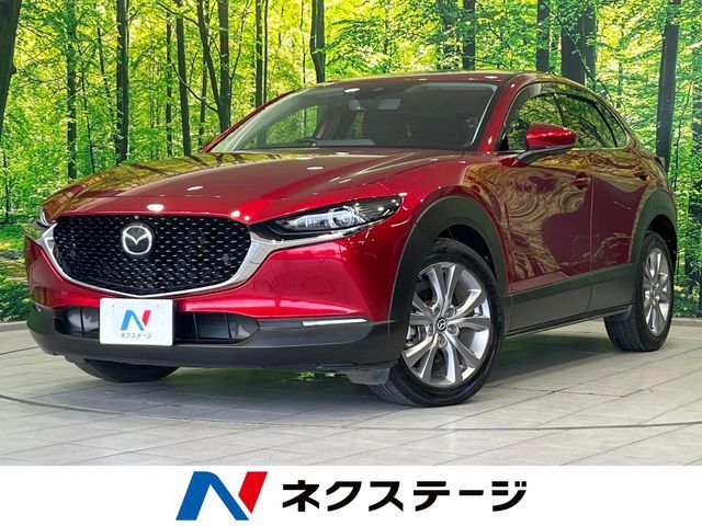 CX-30