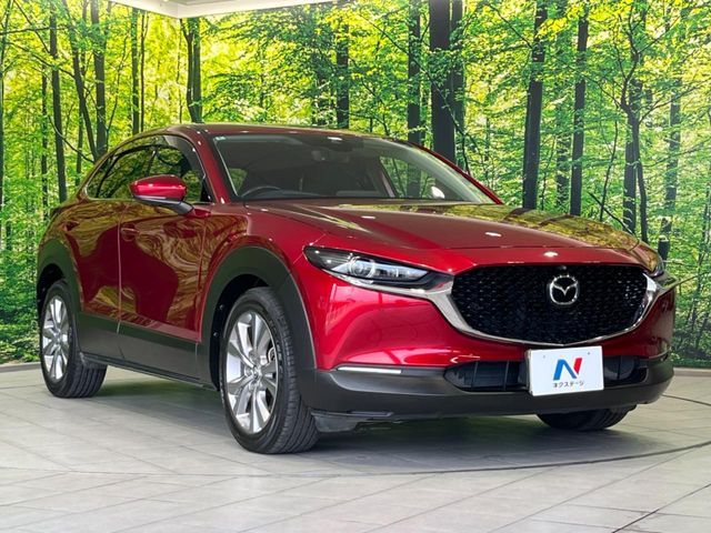 CX-30