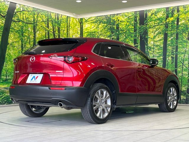 CX-30