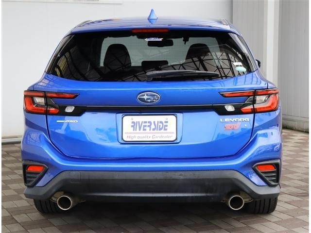 LEVORG
