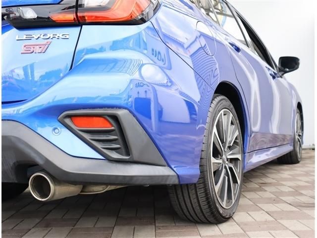 LEVORG