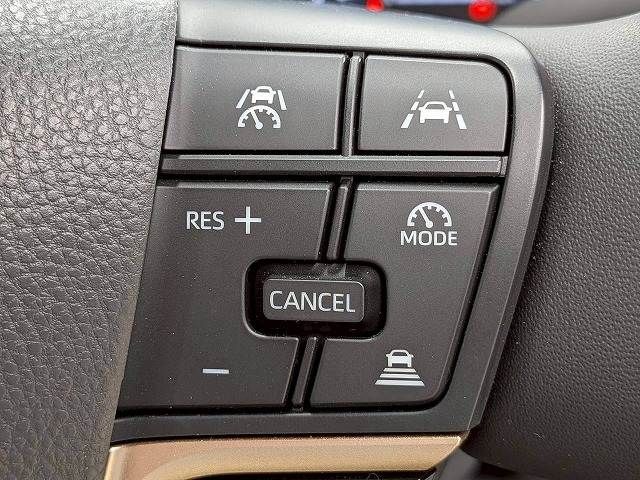 CROWN SPORT
