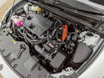 CROWN SPORT