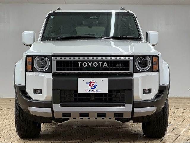 LANDCRUISER 250